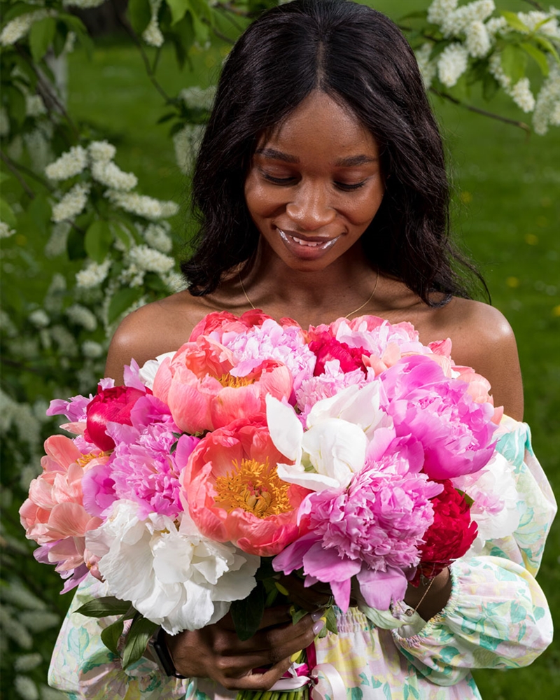 Season of Peonies