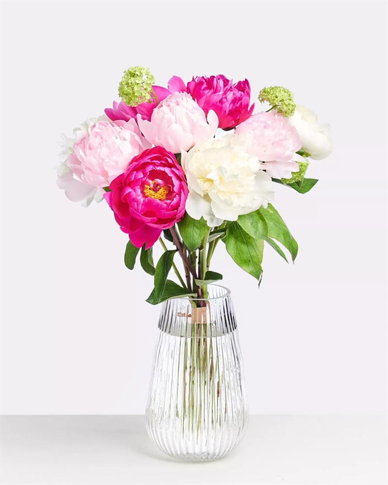 Peony fairy-tale